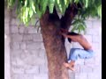 Monkey Epel