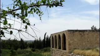 بلدتي الحبيبه