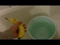 香蕉會不會浮在海面？