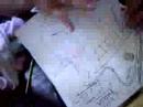 Crystal drawing bailey