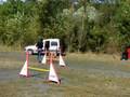 Aengus-agility