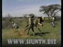 Cazadores son atacados por un león