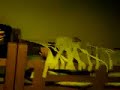 Prank on Eric on Japan Trip