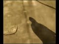 Video con peque�a rotoscop�a