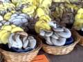 videos de Farmer's Market