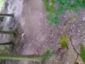 bmx in mg 8