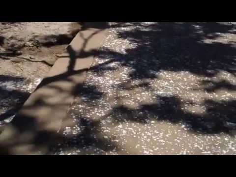 how to dissolve rock salt quickly