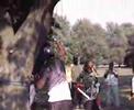 Pinata swing 2