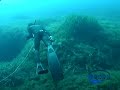 Campionato Assoluto di Pesca in Apnea \