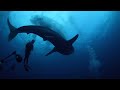 Maldives Diving Cruise 2009-8 #2