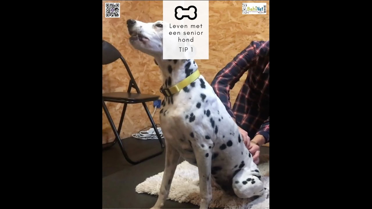 Tip 1 - Osteopathie helpt tegen pijn en voor de versteviging van de spieren.