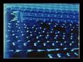 videos de Evolvenza - TACCHEGGIO