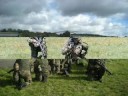 LuchtMobiele Brigade- Nec temere, nec timide!