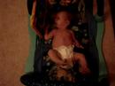 Mason - 2 weeks Mason - 2 weeks