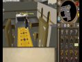 Runescape Birthday :D party