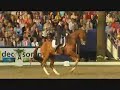 Reportage amazone Adelinde Cornelissen