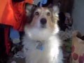 videos de Cassie 
