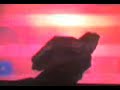 trucos halo 3 2088 trucos halo 3 2088
