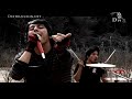 ANEURISMA - RENACER
