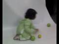 videos de Yadhira seiones 5