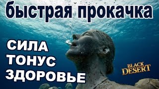 Black Desert (RU) - Прокачка Силы, Тонуса, Здоровья в bdo (быстрый способ) Black Desert (RU) - Прокачка Силы, Тонуса, Здоровья в bdo (быстрый способ)