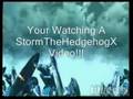 Storm The Hedgehog Test