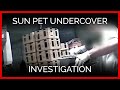 Sun Pet Undercover Investigation