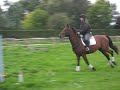 Boycie,4year old jumping at home
