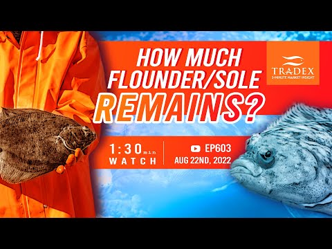 3MMI - Flounder/Sole: How Much Supply Remains? China Equipped Until December