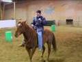 Horsemanship 2