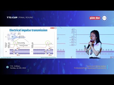 [TTS CUP 2022] Electrical impulses of neuron & Brain - NGUYEN NGOC MINH CHAU (Secondary)