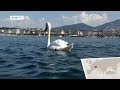 Portrait der Schweizer Stadt Genf | euromaxx
