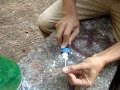 Sprite & Mentos (Italy)