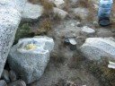 nine lakes basin to lonely lake