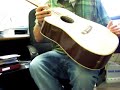 Agile EP-1 Acoustic/Electric Agile EP-1 Acoustic/Electric