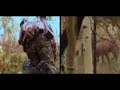Wild Extremes: Colorado Elk (Clip) Wild Extremes: Colorado Elk (Clip)