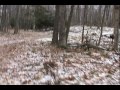 Phils Hunt at Thiex Trophy Whitetails