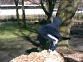 salto blooper