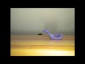 stop motion pate a modeler.wmv