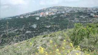 صور حديثة لبلدة علار صور حديثة لبلدة علار