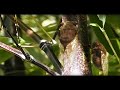LBL - VFX Student Montage - Summer 2008