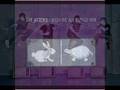 Afters Someday Video and Lyrics