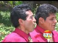 internacional banda real de huanuco   corte de arbol