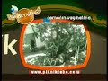 Beyaz Show Piknik Tube Top 5