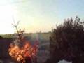 The Flaming xmas tree bonfire experience