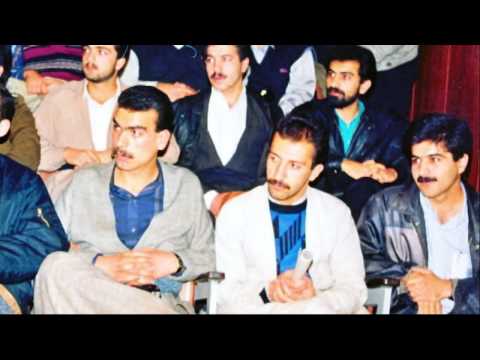 how to dissolve hemin