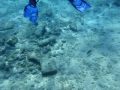 Snorkling in Cozumel during my central american cruise on the carnival glory