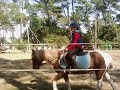 jsui nul a cheval