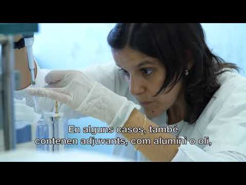 youtube-img