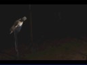 SH1 GLITCH TO SKIP AMUSEMENT PARK AND CYBIL FIGHT